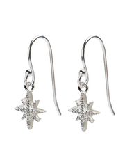 Sparkle North Star Earrings