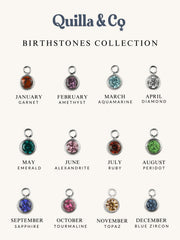 Engraved Initial Disc Necklace with Birthstone